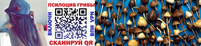 сколько стоит  Асбест  omg зеркало  Псилоцибиновые грибы GOLDEN TEACHER 